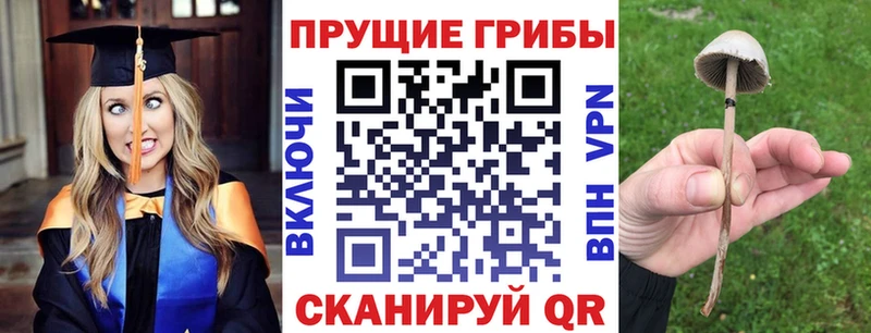 хочу   Урень  МЕГА ONION  Галлюциногенные грибы Magic Shrooms 